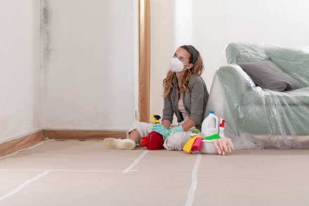 Reliable Mold Cleanup contractor in Crofton, MD by WQB Mold Removal